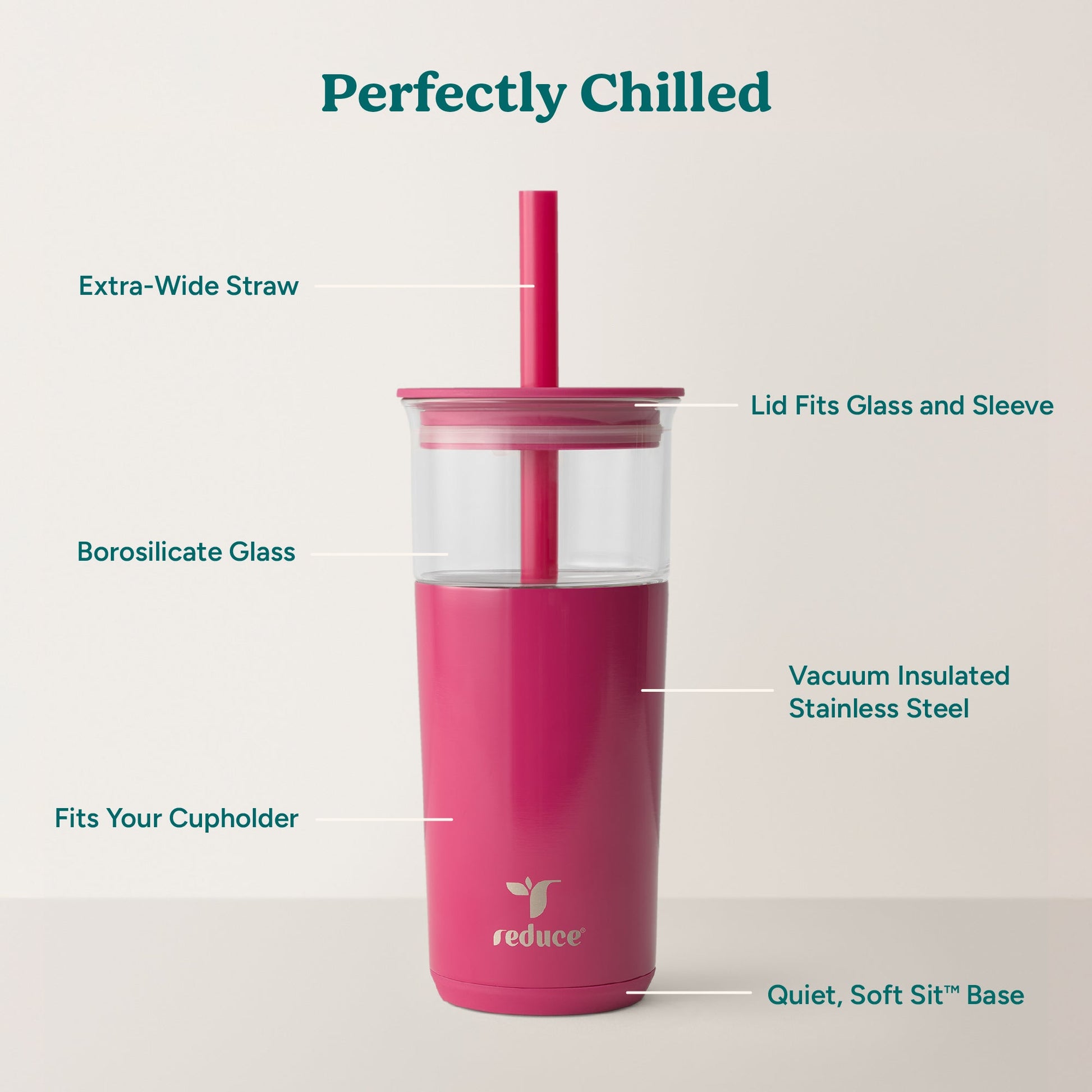 aspen-20-oz-k0 Aspen_Dragonfruit_PDP_Infographic2.jpg