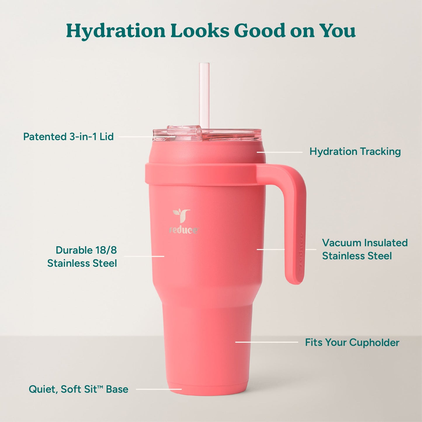 cold1-40-oz-g8 Cold1_40oz_Daiquiri_Infographic_2.jpg