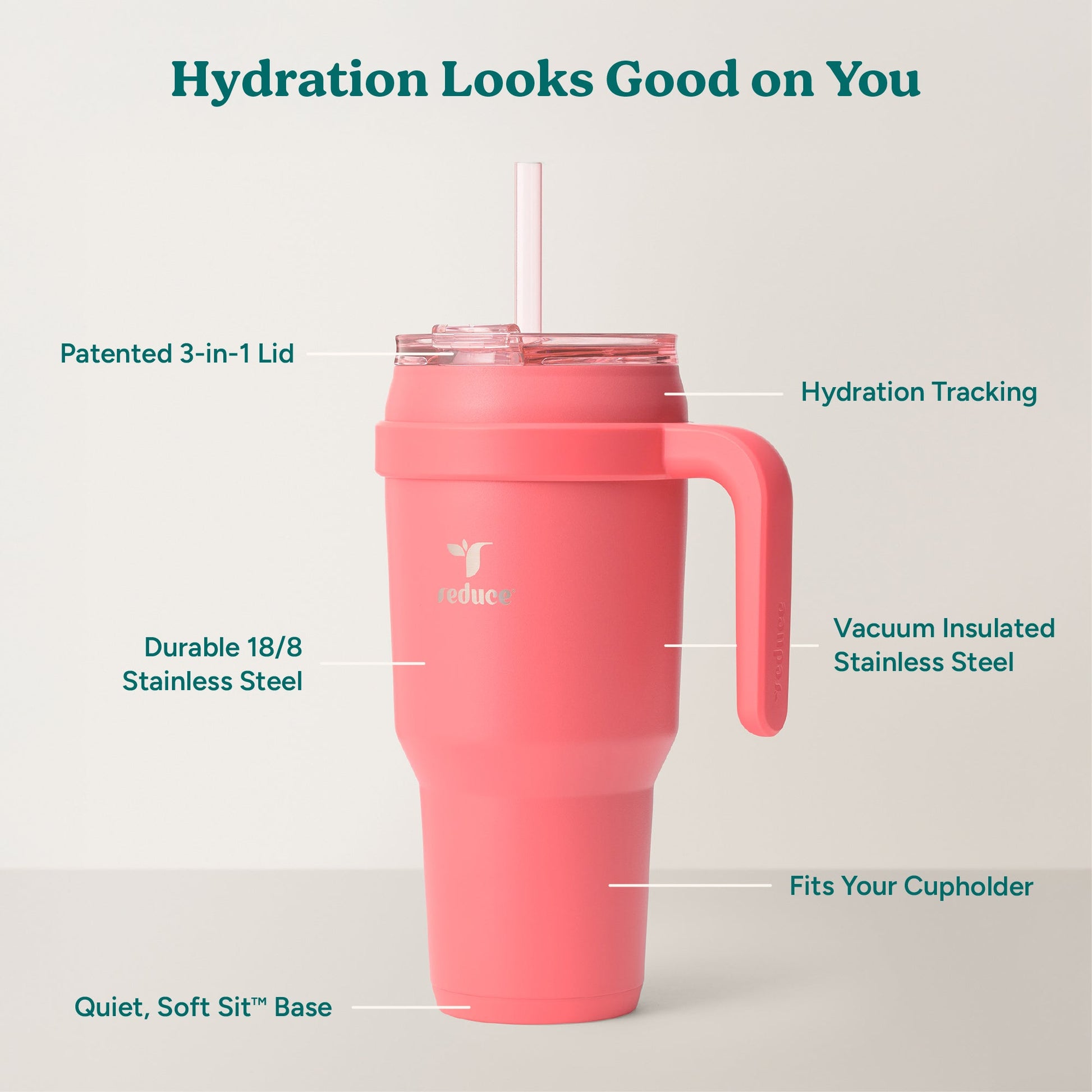 cold1-40-oz-g8 Cold1_40oz_Daiquiri_Infographic_2.jpg