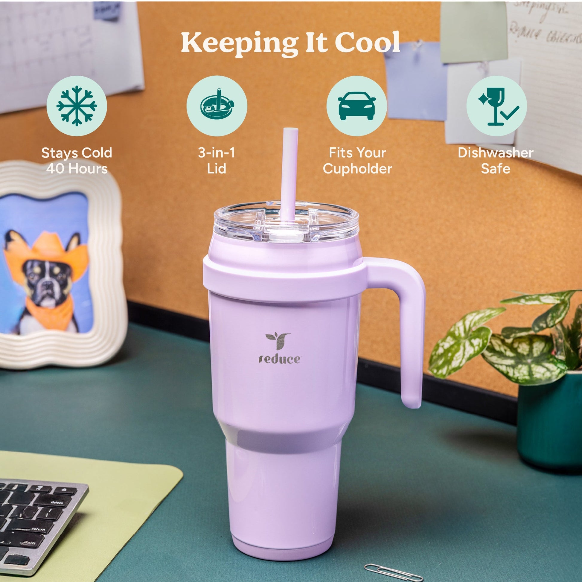 cold1-40-oz-g8 Cold1_40oz_PalmLeaf_Infographic_1.jpg