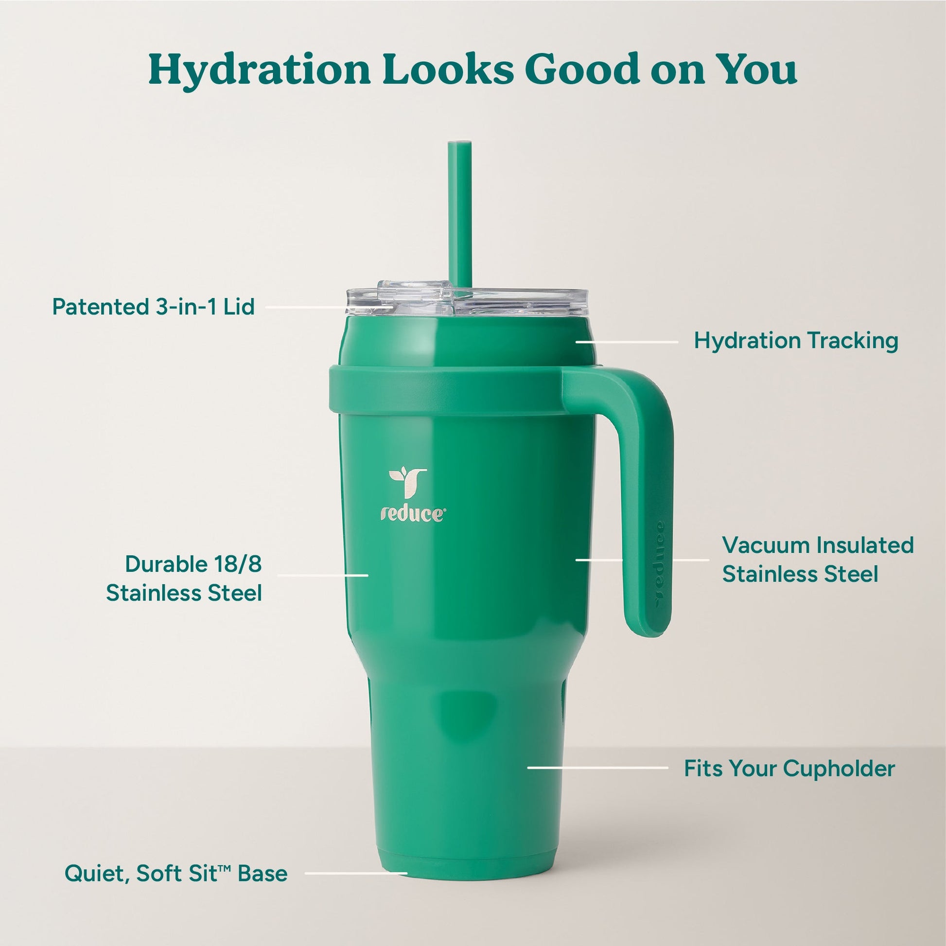 cold1-40-oz-g8 Cold1_40oz_PalmLeaf_Infographic_2.jpg