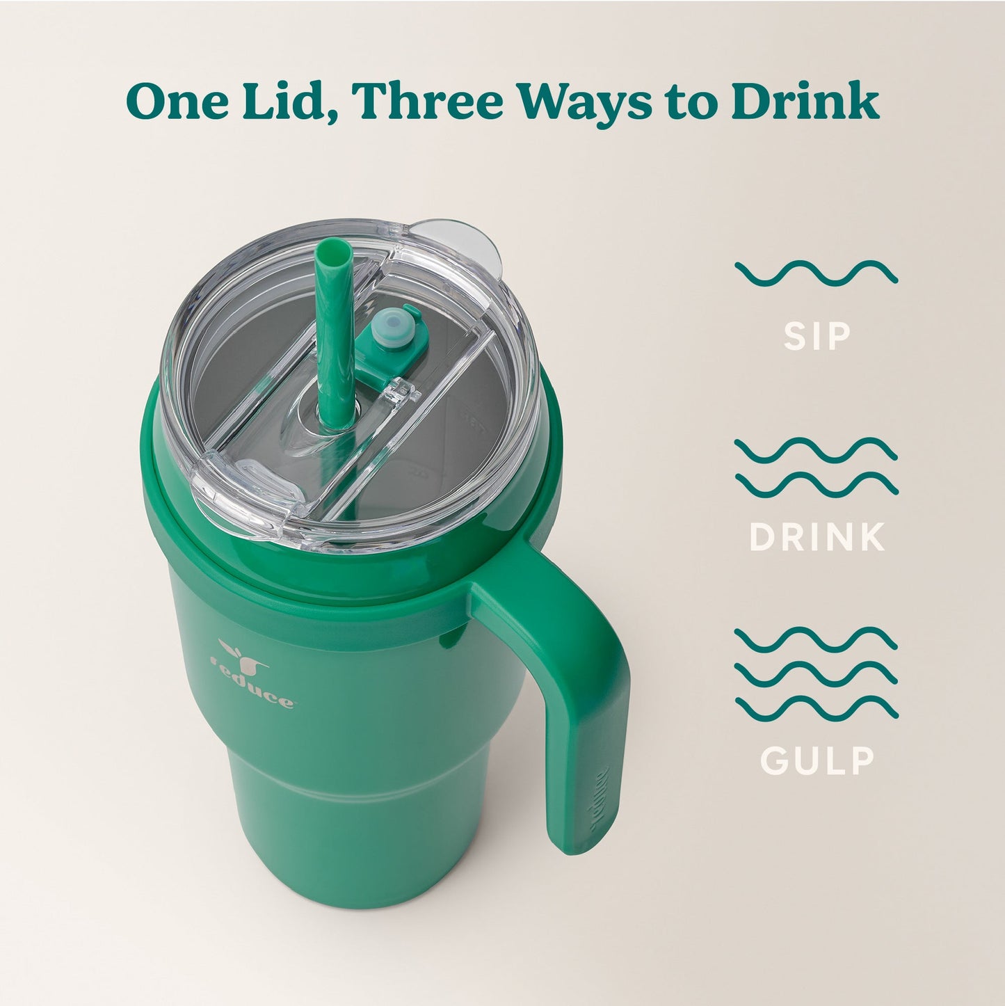 cold1-40-oz-g8 Cold1_40oz_PalmLeaf_Infographic_3.jpg