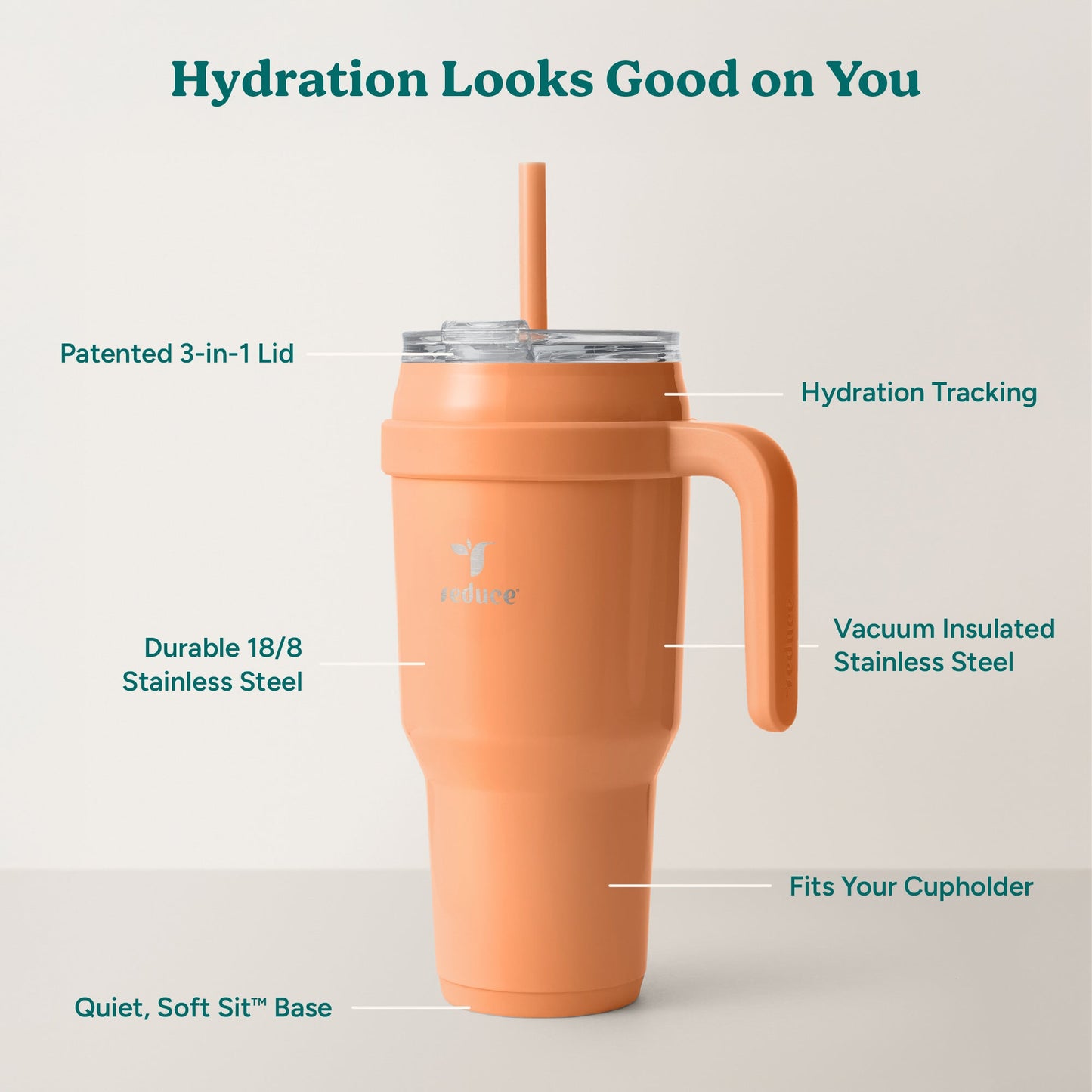 cold1-40-oz-g8 Cold1_40oz_Papaya_Infographic_2.jpg