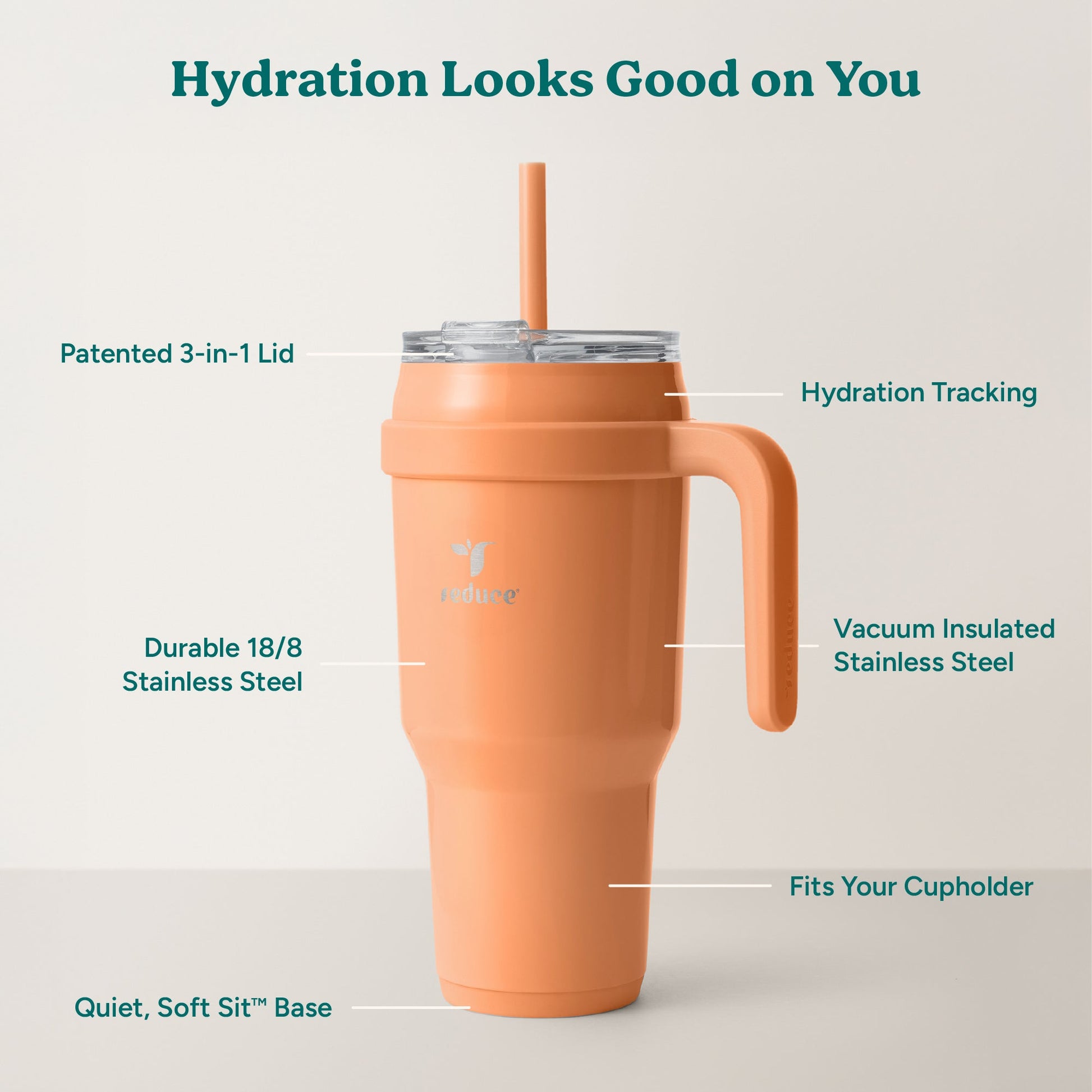 cold1-40-oz-g8 Cold1_40oz_Papaya_Infographic_2.jpg